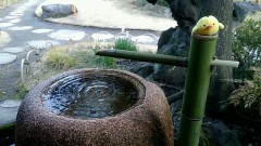 2月もあっという間でしたー