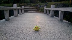 ここは通さない、そうですｗ