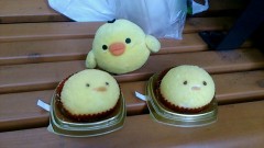 この中で食べられないのはｗ？