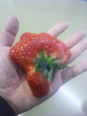 これって！？凄いような