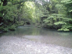 まず北へ700キロ