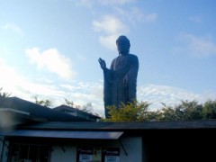 ぎゃははｗｗでけー