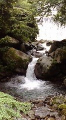 いやしの場所…