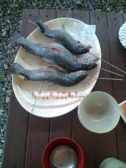 只今！帰省ちゅ～