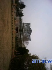 先日、植物園に行って来ました