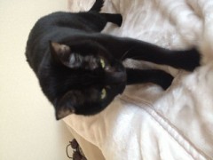 どんな感触、好きですか？