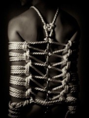 【お題日記】調教したこと、されたことある？