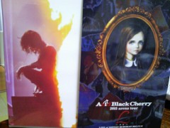 Acid Black Cherry