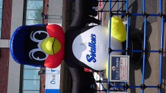 【お題日記】スポーツは何が好き？