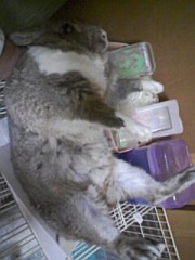 【お題日記】ウラ的お気に入りの写真見せて