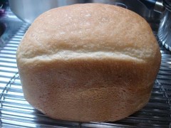 製パン第４号(4/17)