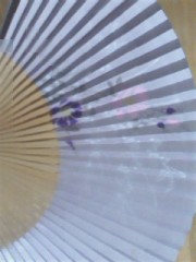 買っちゃった(o^∀^o)