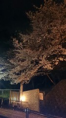 増税前最後の休日