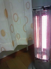 わがやの人気者