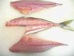 【お題日記】最近、魚を食べていますか？