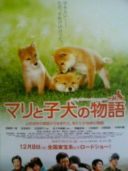 「ﾏﾘと子犬の物語」ﾚﾋﾞｭｰ☆