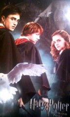 「ﾊﾘｰ･ﾎﾟｯﾀｰと謎のﾌﾟﾘﾝｽ」ﾚﾋﾞｭｰ☆