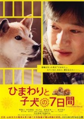 「ひまわりと子犬の7日間」ﾚﾋﾞｭｰ☆