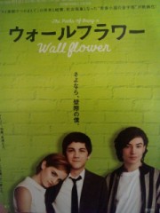 「ウォールフラワー」ﾚﾋﾞｭｰ☆