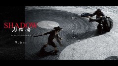 「SHADOW 影武者」ﾚﾋﾞｭｰ☆