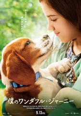 「僕のワンダフル・ジャーニー」ﾚﾋﾞｭｰ☆