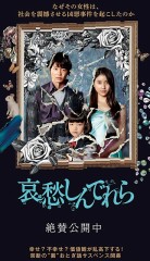 「哀愁しんでれら」ﾚﾋﾞｭｰ☆