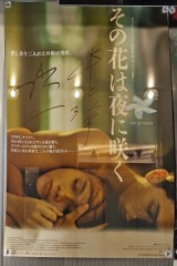 「その花は夜に咲く」ﾚﾋﾞｭｰ☆