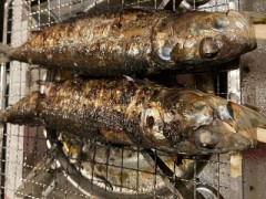 人生初知りました