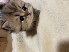 【お題日記】思い出し笑いすることある？