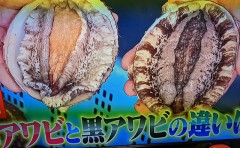 どっちが好きですか