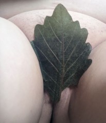 【お題日記】あそこ鍛えたりケアしてる？