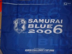 ワールドカップな海猿