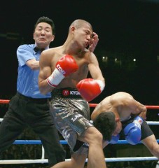 お久しぶり～～～～