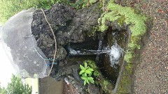 【お題日記】普段気をつけてる健康食品は？