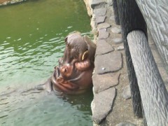 絶景(ToT)で温泉めぐり