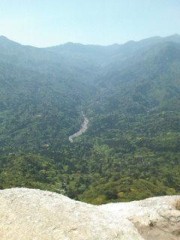 もののけ姫の森は・・