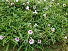 ゴールデンウィーク中間報告