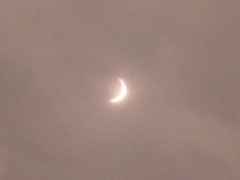 【お題日記】5月21日金環日食はどこで観る？