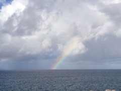 おはようございます。