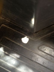 太陽のイタズラ？