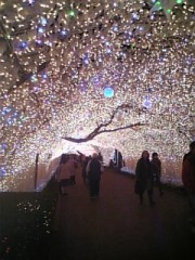 イルミみてきたよ