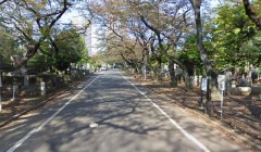 東京散策　駒込～上野