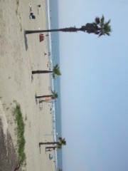 【お題日記】今日こんな夢を見た