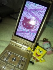 携帯電話の待ち受け画面は何？