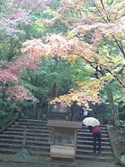 紅葉狩り