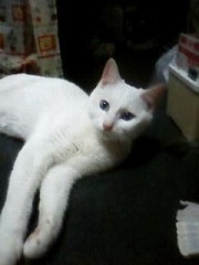 SMAPださいね～ボクの方が、超カッコイイ(^-^)/