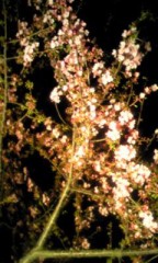 色っぽいなあ～