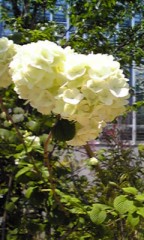 あれから40年    間違えた65年