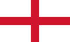 世紀の審判ミス