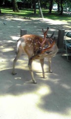 おはよ(^^)今日は